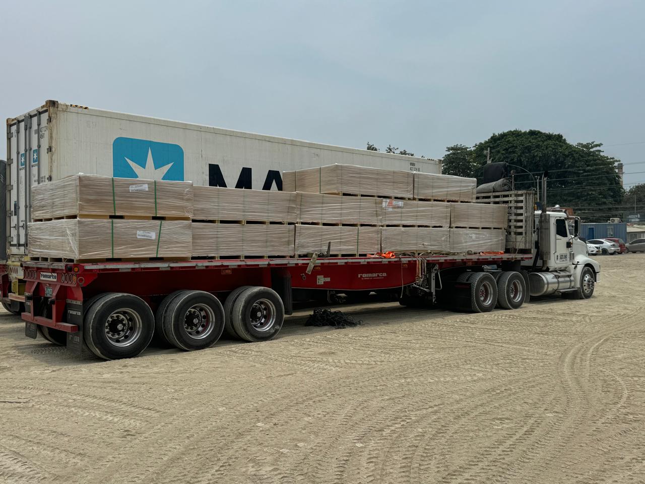 WhatsApp Image 2025-01-25 at 12.56.53 PM